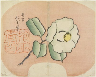 White Camellia by Hogyoku